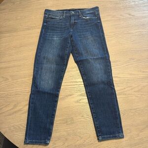 Banana Republic Dark Wash Denim Skinny Jeans Sz 30 Classic Y2K Quiet Luxury